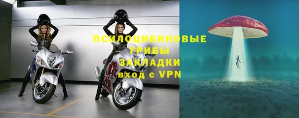 a pvp Алзамай