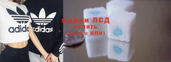 стафф Алексин