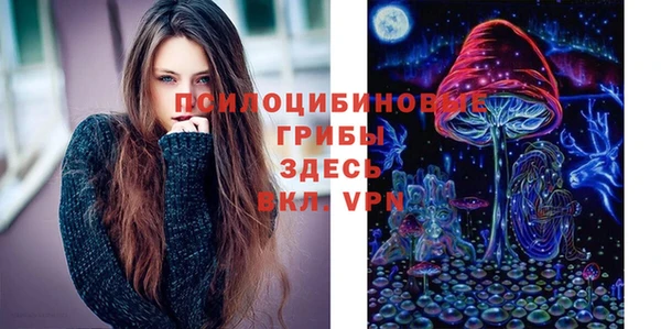 стафф Алексин